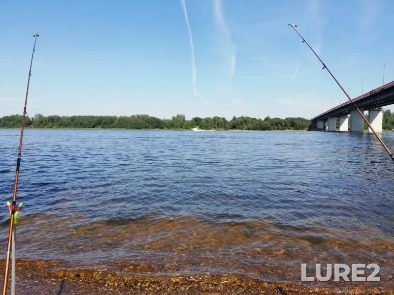 Bream, Pike — Volgo-Baltiyskiy kanal, Jul 29, 2019