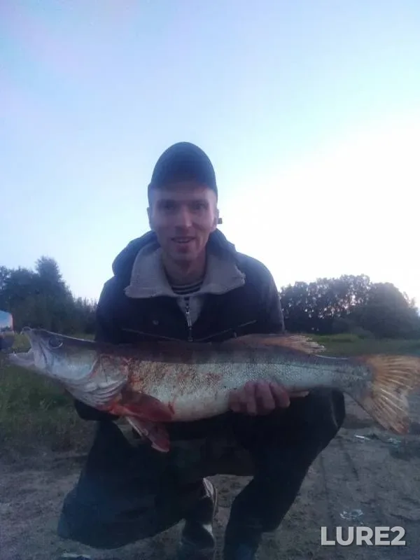 Zander — Shchetinka, Aug 04, 2019