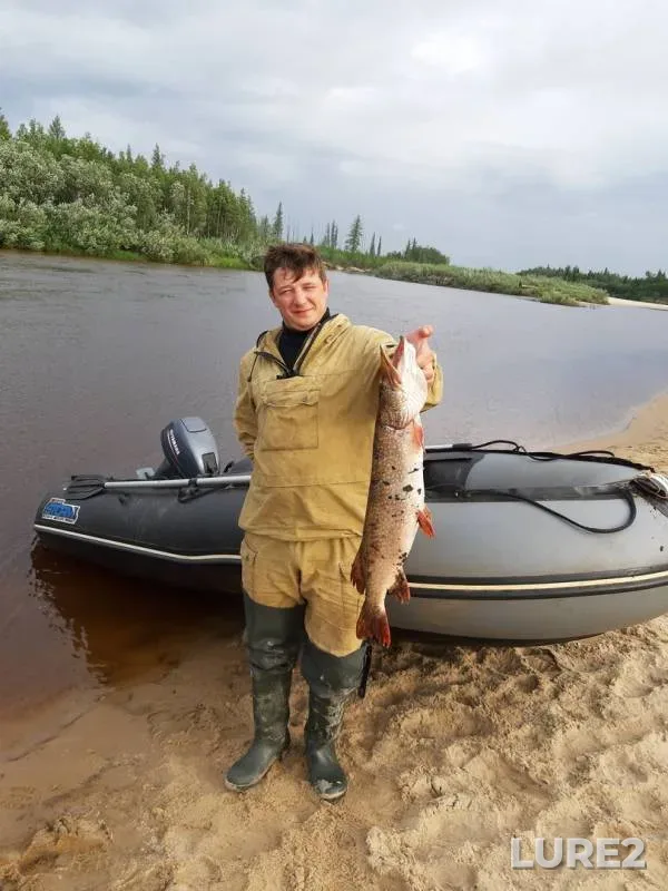 Pike — Ngarka-Pyryayakha, Aug 05, 2019
