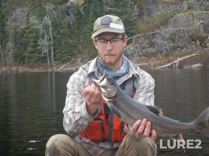 Lake trout — Amoeber Lake, Aug 06, 2018, 5:06 PM