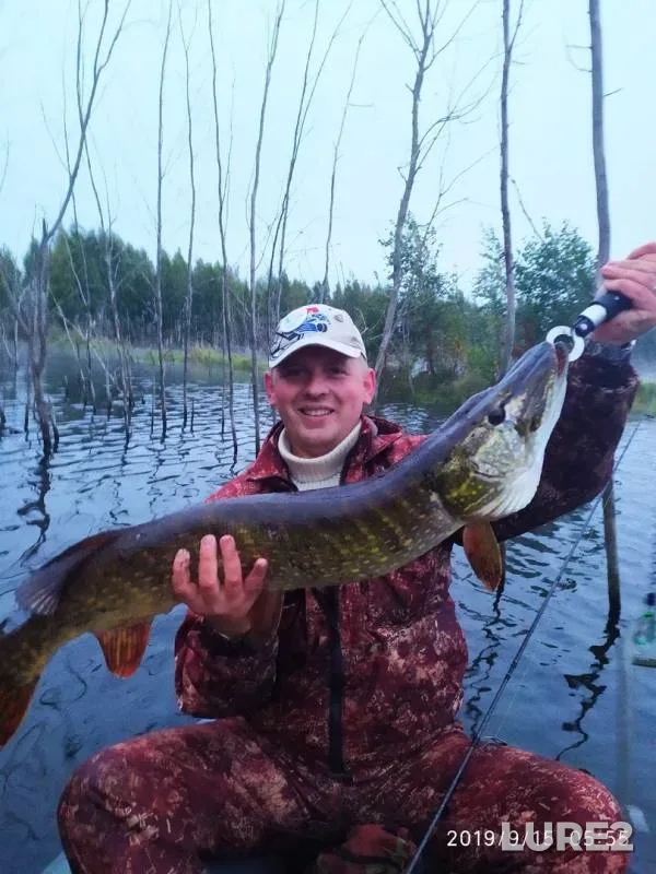 Pike — Yaroslavskaya oblast, Sep 15, 2019