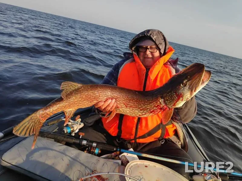 Pike — Volgo-Baltiyskiy kanal, Sep 11, 2019