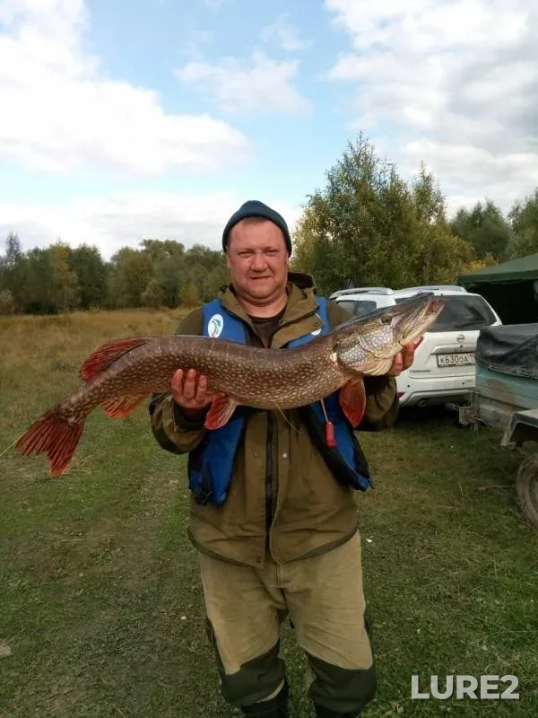 Pike — Irtysh, Sep 08, 2019