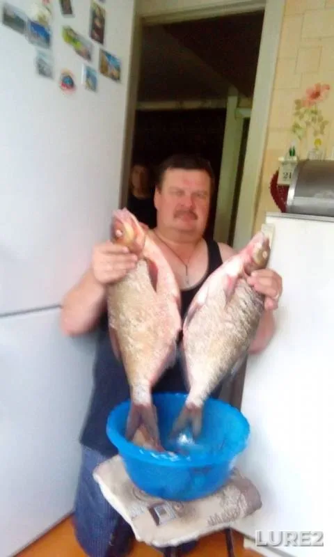 Bream, Perch — Sok, Sep 04, 2019