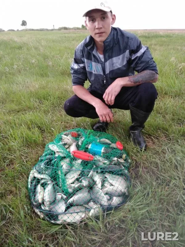 Crucian carp — Uyelgi, Aug 31, 2019