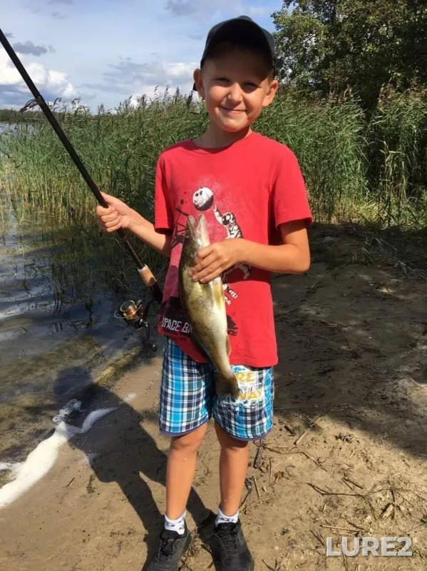Zander — Svyatoye, Aug 21, 2019