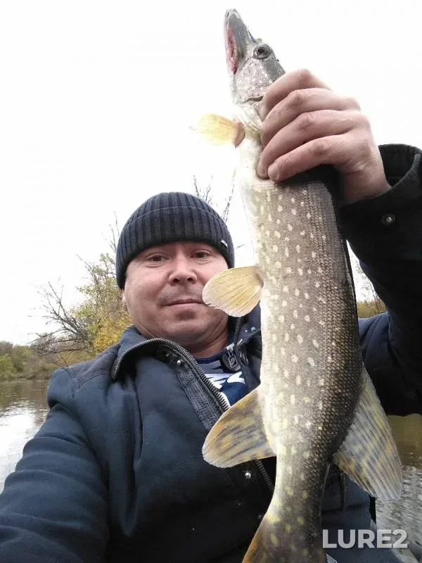 Pike — Vyatka, Sep 16, 2019