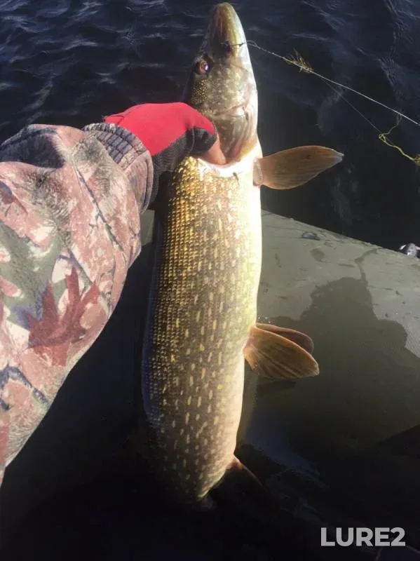 Pike — Verkhniy Toguzak, Sep 26, 2019