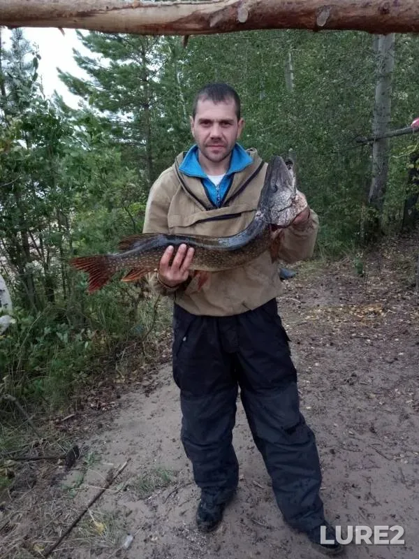 Pike — Permskiy kray, Sep 30, 2019