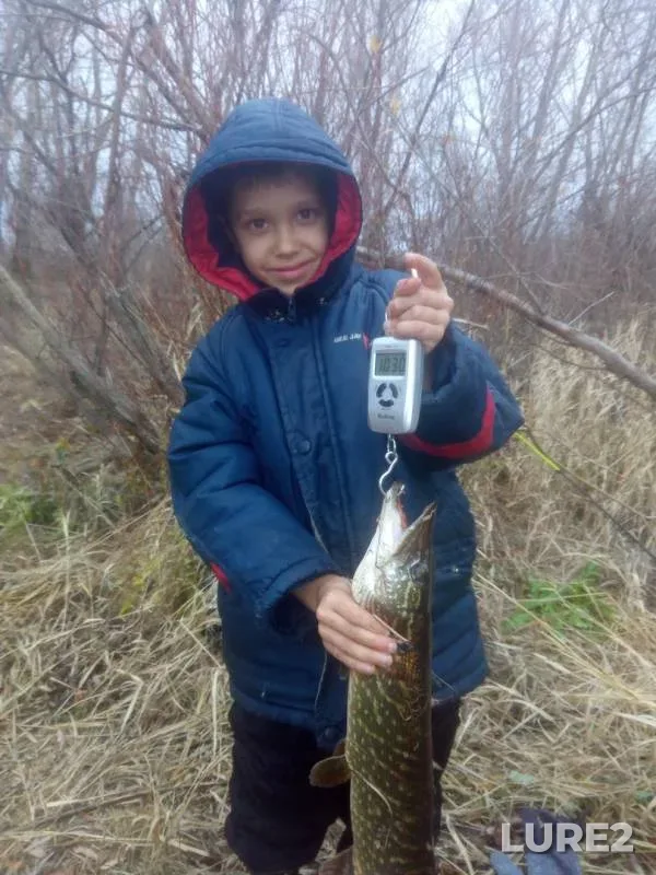 Pike — Zhayyқ - Ural, Nov 05, 2019