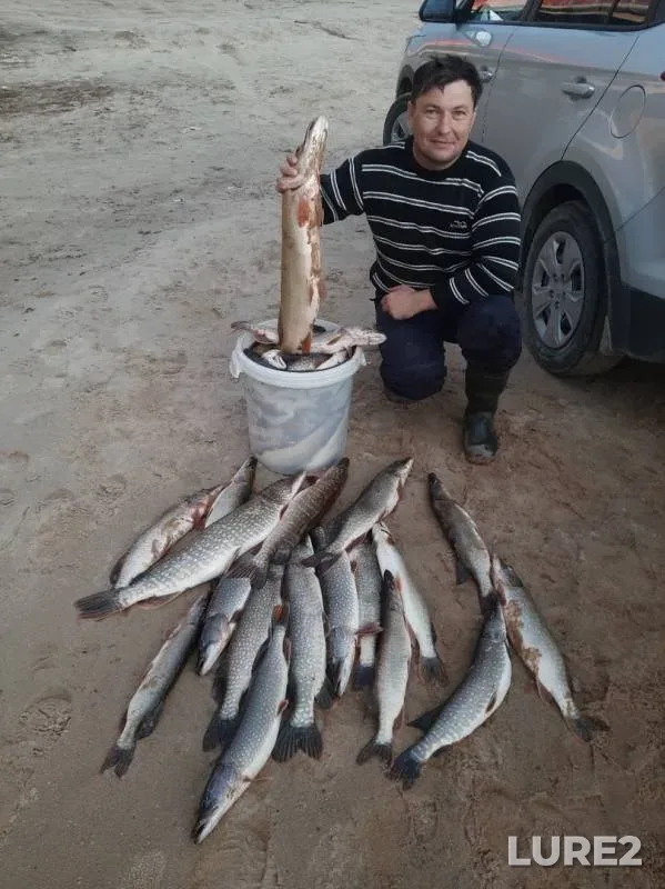 Pike — Ngarka-Pyryayakha, Oct 07, 2019