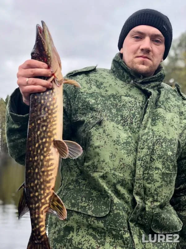 Pike — Ugyum, Jul 01, 2019