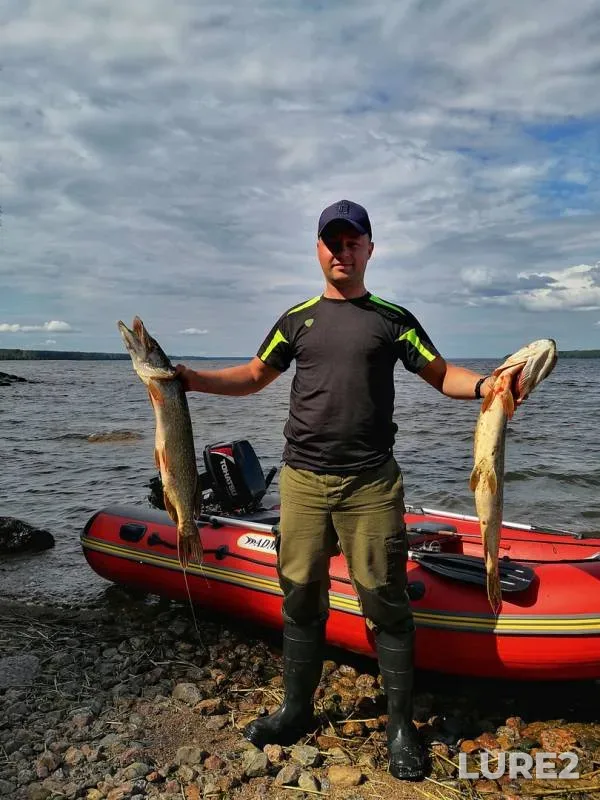 Pike — Leningradskaya oblast, Vyborgskiy rayon, Jul 26, 2019