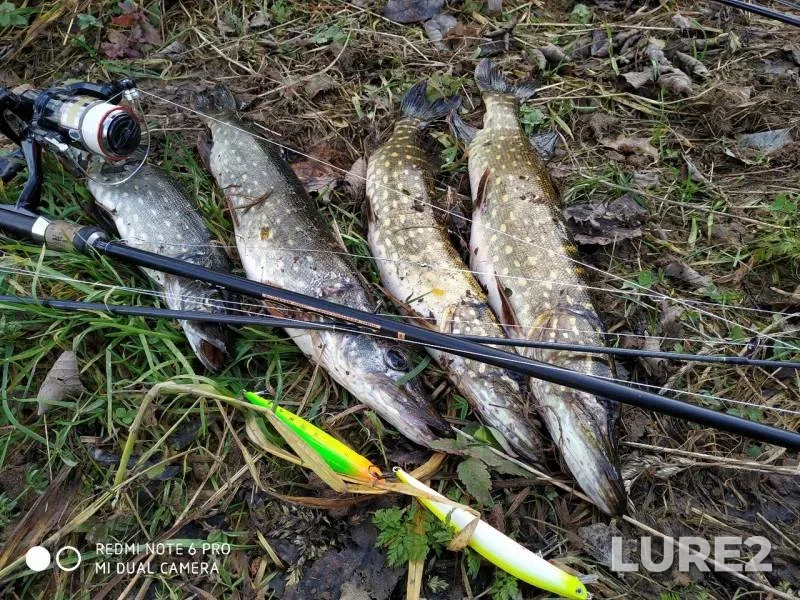 Pike — Pskovskaya oblast, Oct 28, 2019