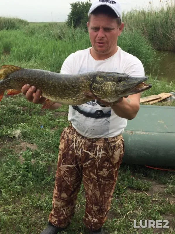 Pike — Krasnodarskiy kray, Primorsko-Akhtarskiy rayon, Jun 04, 2019