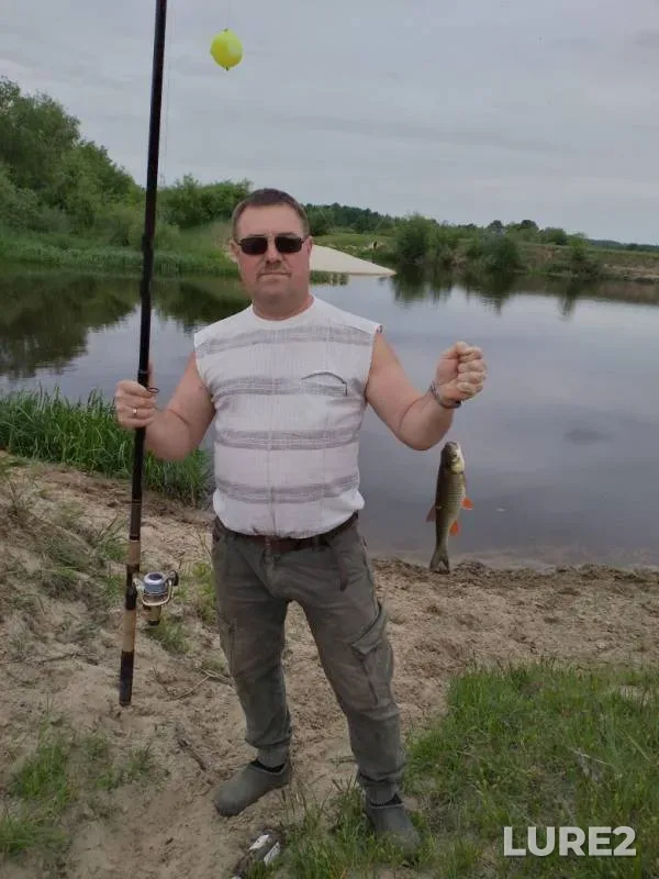 Chub — Іputs, Jun 06, 2019