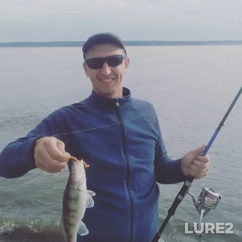Zander — Arbuga, Jun 07, 2019