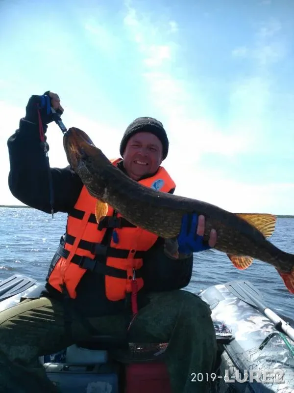 Pike — Narva veehoidla / Narvskoye, Jun 13, 2019