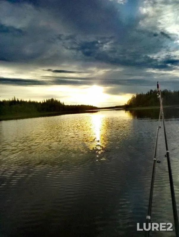 Pike — Kyama, Jun 26, 2019