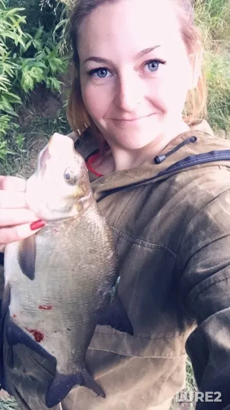 Bream — Vaga, Jul 13, 2019
