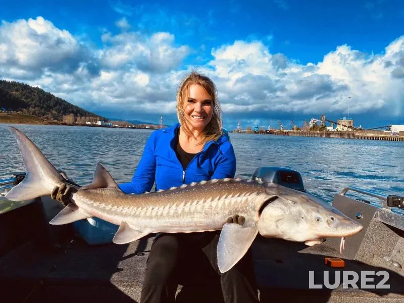Carp — Rostovskaya oblast, Jul 28, 2019