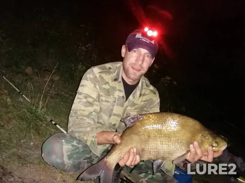 Bream — Desna, Aug 04, 2019