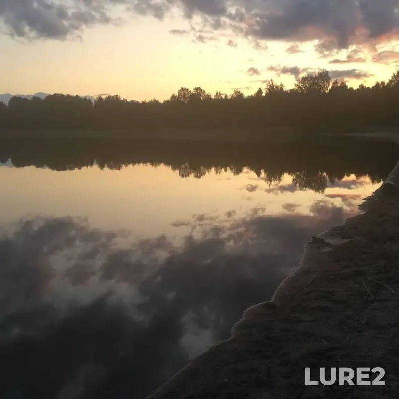 Bream, Perch — Brodskaya Lakhta (Meglino), Aug 12, 2019