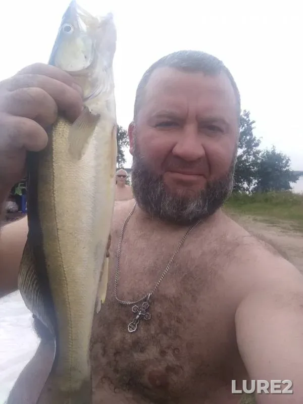 Zander — Chelyabinskaya oblast, Kaslinskiy rayon, Aug 17, 2019