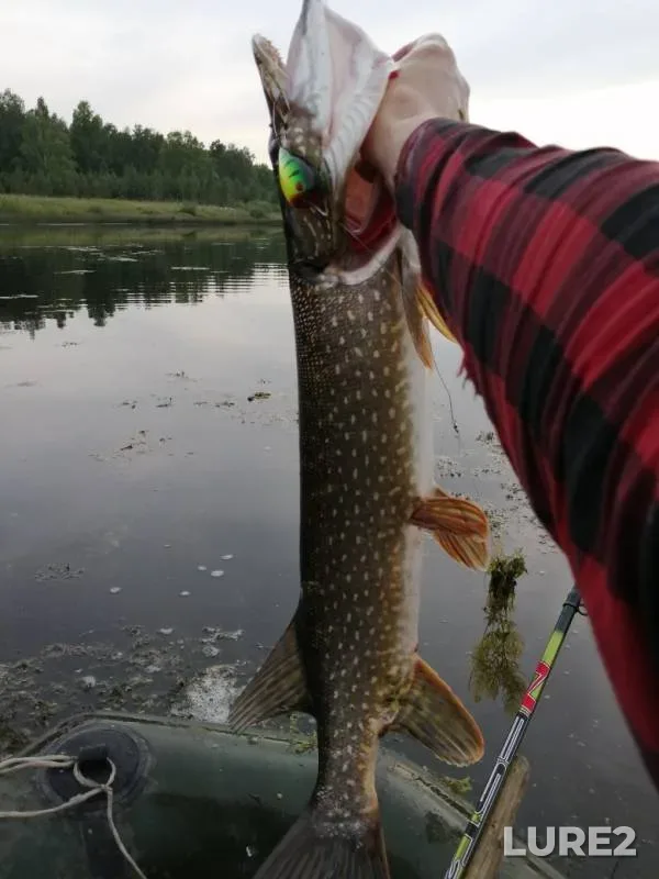 Pike — Mostovka, Aug 20, 2019