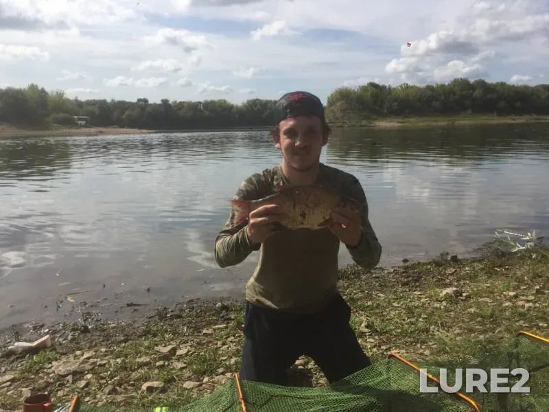 Bream — Oka, Aug 23, 2019