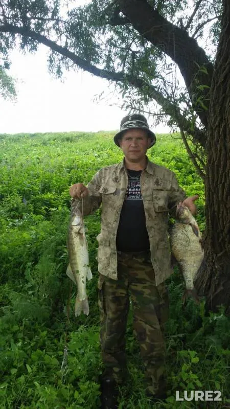 Bream, Zander — Ishim, Aug 27, 2019