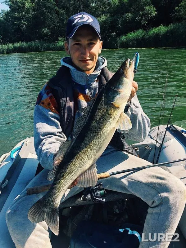 Zander — Kaliningradskaya oblast, Sep 02, 2019