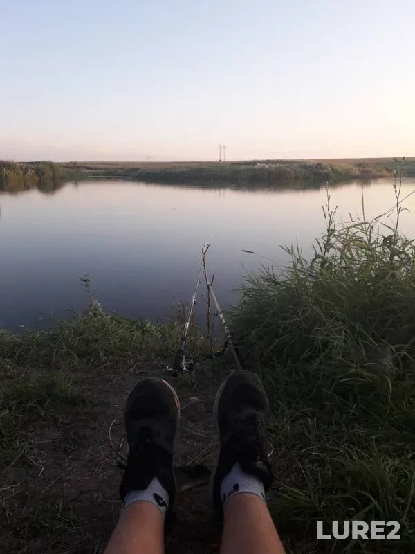 Crucian carp — Respublika Bashkortostan, Sep 02, 2019