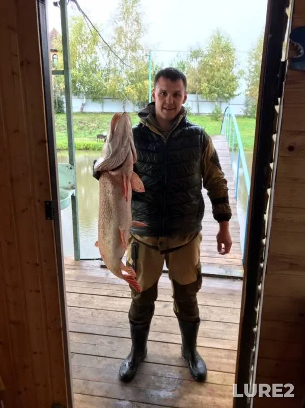 Pike — Skniga, Sep 21, 2019