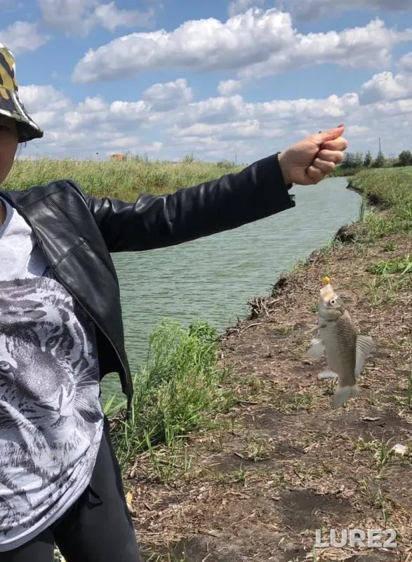 Crucian carp — Rostovskaya oblast, Sep 28, 2019