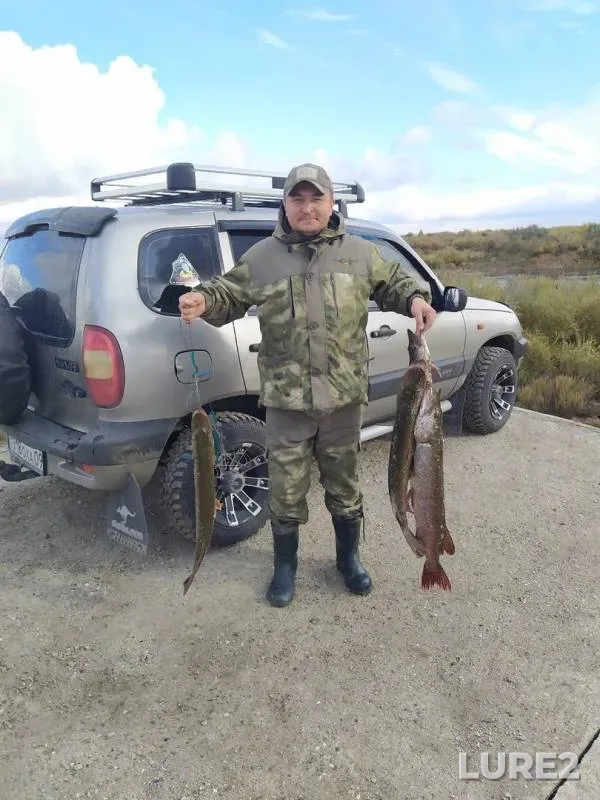 Pike — Nura, Sep 29, 2019