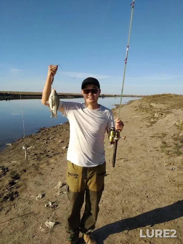Crucian carp — Nura, Oct 05, 2019