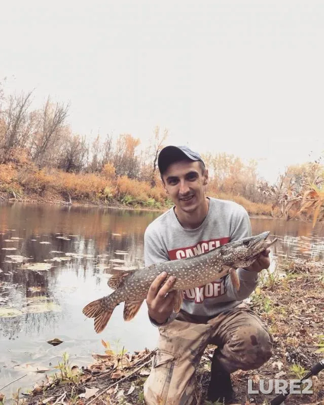 Pike — Ilovlya, Oct 09, 2019