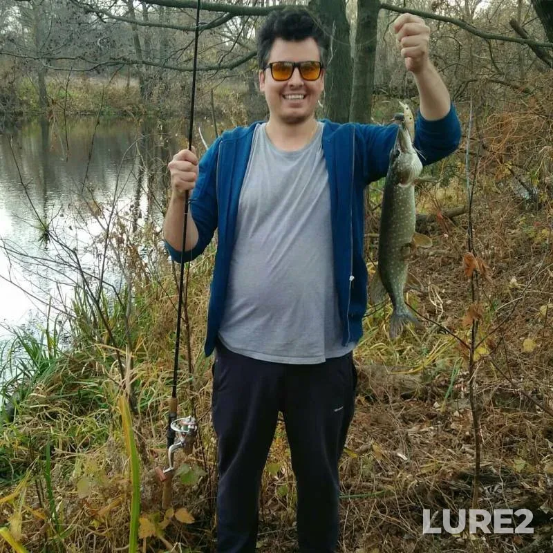 Pike — Studenoye, Oct 20, 2019