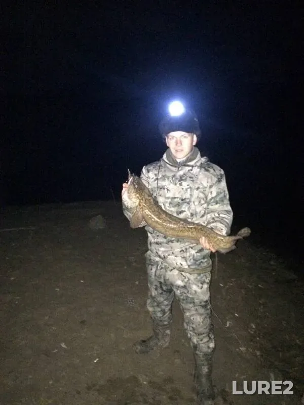Burbot — Yesіl, Oct 24, 2019