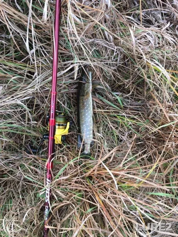Pike — Kudesna, Oct 26, 2019