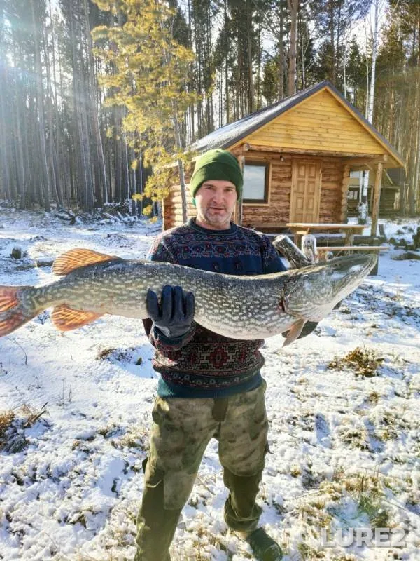 Pike — Irkutskoye, Nov 15, 2019