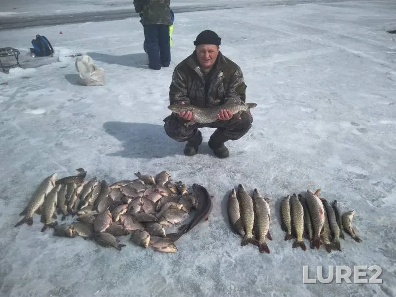 Crucian carp, Pike — Kostanayskaya oblast, Nov 22, 2019