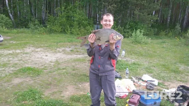 Bream — Pushkarikha, Jun 01, 2019