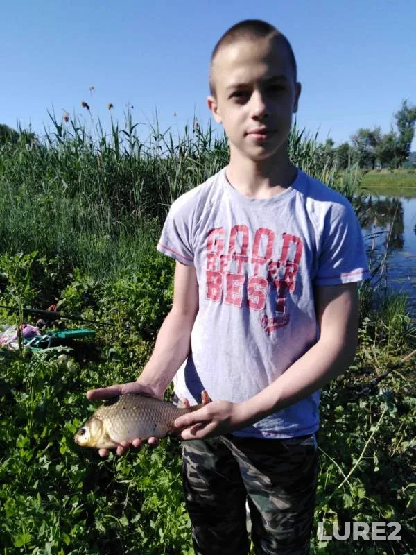 Crucian carp — Tuzlov, Jun 06, 2019