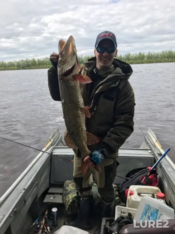 Pike — Tomskaya oblast, Aleksandrovskiy rayon, Jun 22, 2019