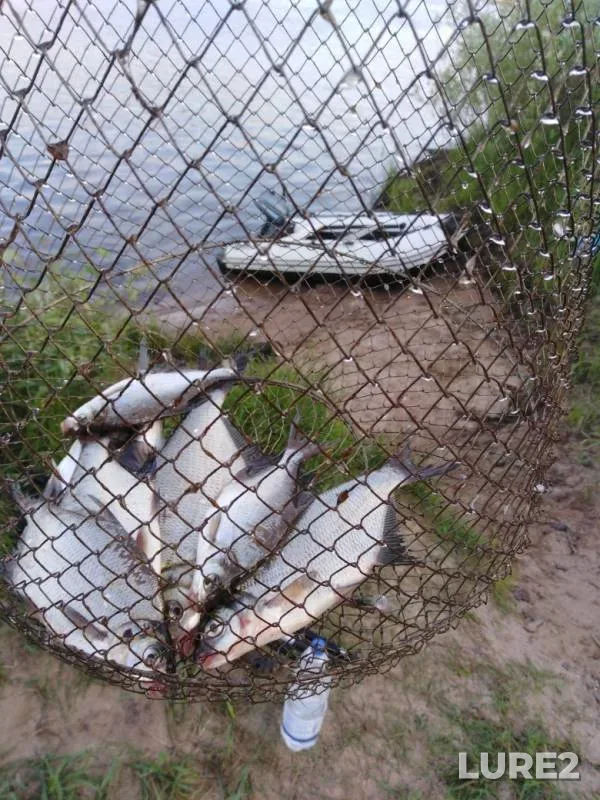 Bream — Vyatka, Jun 23, 2019