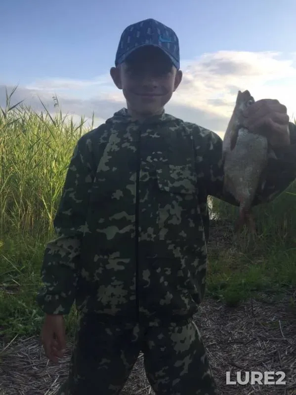 Bream — Vorotno, Jul 12, 2019