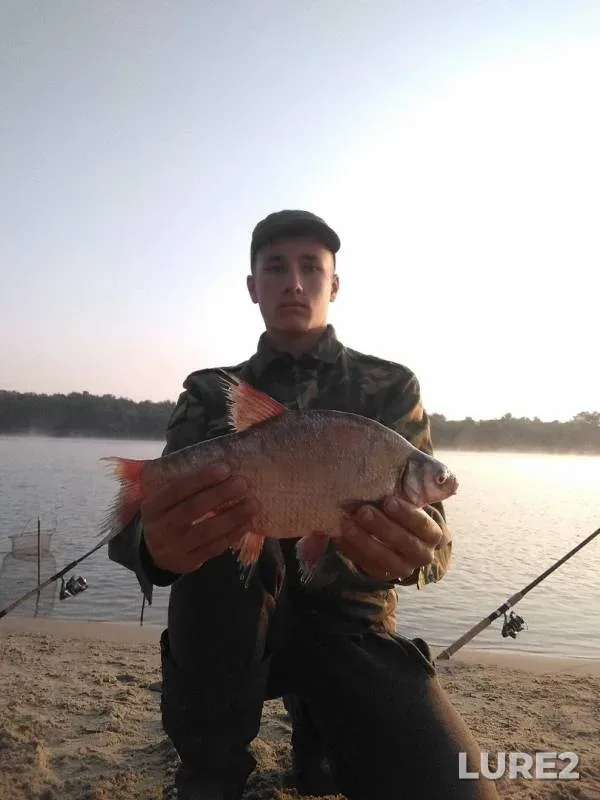 Bream — Don, Jul 14, 2019