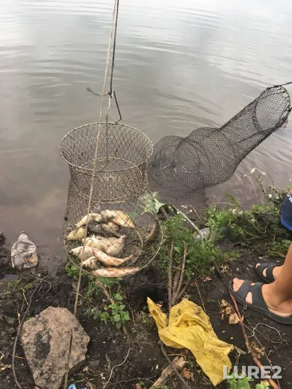 Crucian carp — Kyzyl, Jul 17, 2019